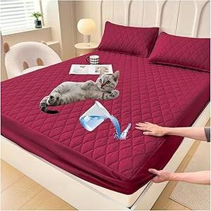 CGK Unlimited 1800 Series Bed Sheets Set with Duvet Cover